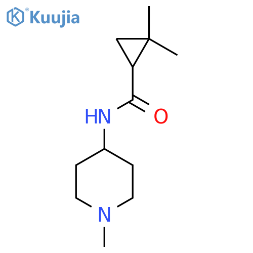 2,2-dimethyl-N-(1-methylpiperidin-4-yl)cyclopropane-1-carboxamide structure