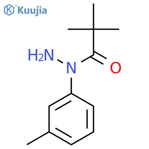 2,2-dimethyl-N-(3-methylphenyl)propanehydrazide structure
