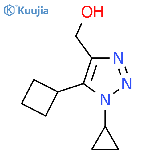 (5-cyclobutyl-1-cyclopropyl-1H-1,2,3-triazol-4-yl)methanol structure