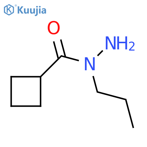 N-propylcyclobutanecarbohydrazide structure