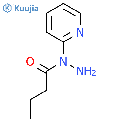 N-(pyridin-2-yl)butanehydrazide structure