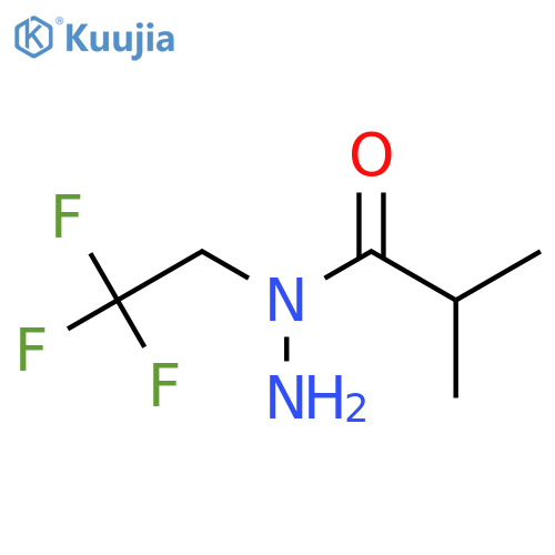 2-methyl-N-(2,2,2-trifluoroethyl)propanehydrazide structure