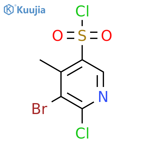5-Bromo-6-chloro-4-methylpyridine-3-sulfonyl chloride structure