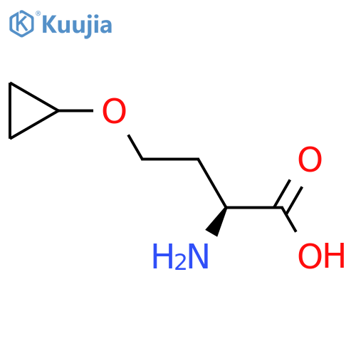 (2S)-2-amino-4-cyclopropoxybutanoic acid structure