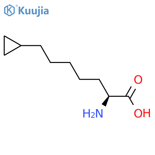 (2S)-2-amino-7-cyclopropylheptanoic acid structure