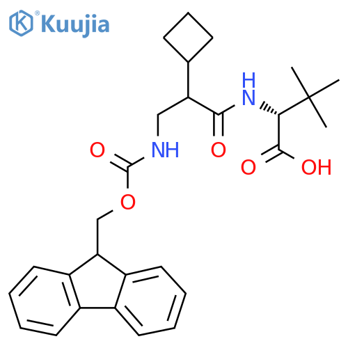 (2R)-2-2-cyclobutyl-3-({(9H-fluoren-9-yl)methoxycarbonyl}amino)propanamido-3,3-dimethylbutanoic acid structure