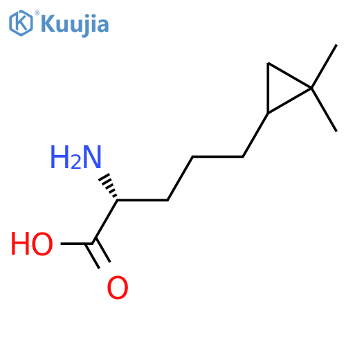 (2R)-2-amino-5-(2,2-dimethylcyclopropyl)pentanoic acid structure