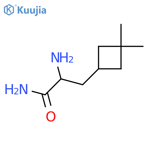 2-amino-3-(3,3-dimethylcyclobutyl)propanamide structure