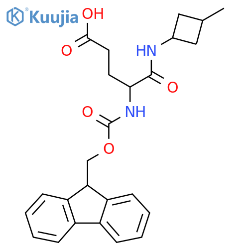 4-({(9H-fluoren-9-yl)methoxycarbonyl}amino)-4-(3-methylcyclobutyl)carbamoylbutanoic acid structure