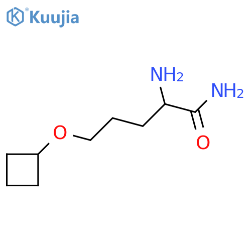 2-amino-5-cyclobutoxypentanamide structure