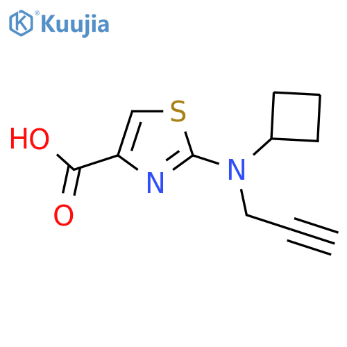 2-cyclobutyl(prop-2-yn-1-yl)amino-1,3-thiazole-4-carboxylic acid structure