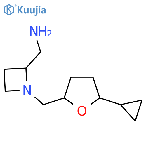 {1-(5-cyclopropyloxolan-2-yl)methylazetidin-2-yl}methanamine structure