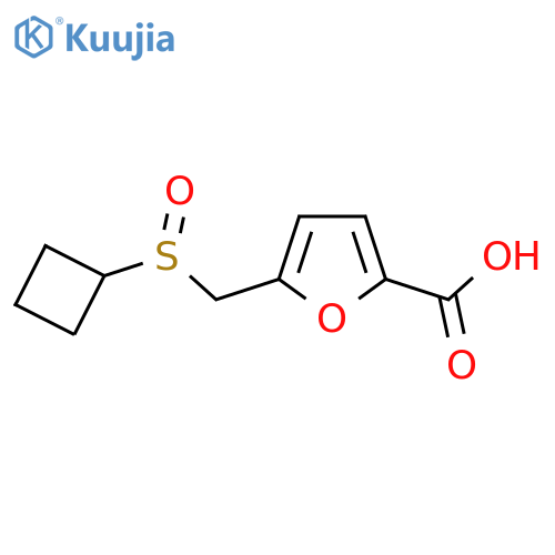 5-(cyclobutanesulfinyl)methylfuran-2-carboxylic acid structure