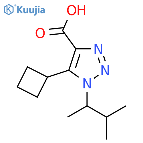 5-cyclobutyl-1-(3-methylbutan-2-yl)-1H-1,2,3-triazole-4-carboxylic acid structure