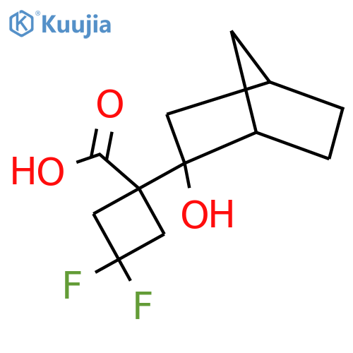 3,3-difluoro-1-{2-hydroxybicyclo2.2.1heptan-2-yl}cyclobutane-1-carboxylic acid structure