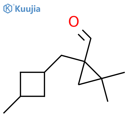 2,2-dimethyl-1-(3-methylcyclobutyl)methylcyclopropane-1-carbaldehyde structure