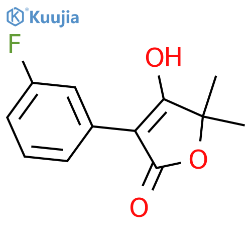 3-(3-fluorophenyl)-4-hydroxy-5,5-dimethyl-2,5-dihydrofuran-2-one structure