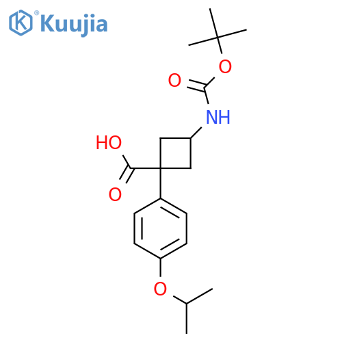 3-{(tert-butoxy)carbonylamino}-1-4-(propan-2-yloxy)phenylcyclobutane-1-carboxylic acid structure