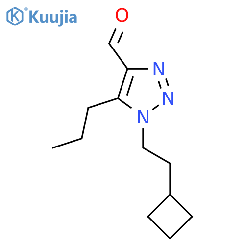 1-(2-cyclobutylethyl)-5-propyl-1H-1,2,3-triazole-4-carbaldehyde structure