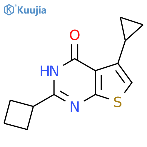 2-cyclobutyl-5-cyclopropyl-3H,4H-thieno2,3-dpyrimidin-4-one structure
