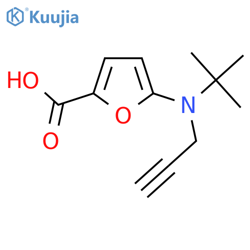 5-tert-butyl(prop-2-yn-1-yl)aminofuran-2-carboxylic acid structure