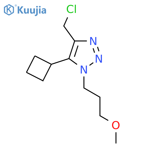 4-(chloromethyl)-5-cyclobutyl-1-(3-methoxypropyl)-1H-1,2,3-triazole structure