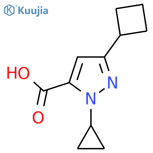 3-cyclobutyl-1-cyclopropyl-1H-pyrazole-5-carboxylic acid structure