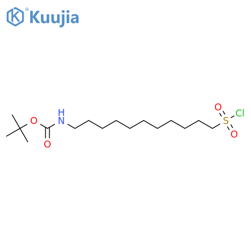 tert-butyl N-11-(chlorosulfonyl)undecylcarbamate structure