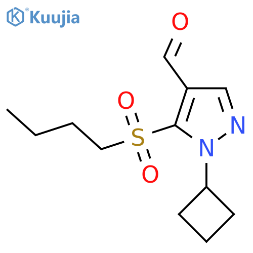 5-(butane-1-sulfonyl)-1-cyclobutyl-1H-pyrazole-4-carbaldehyde structure