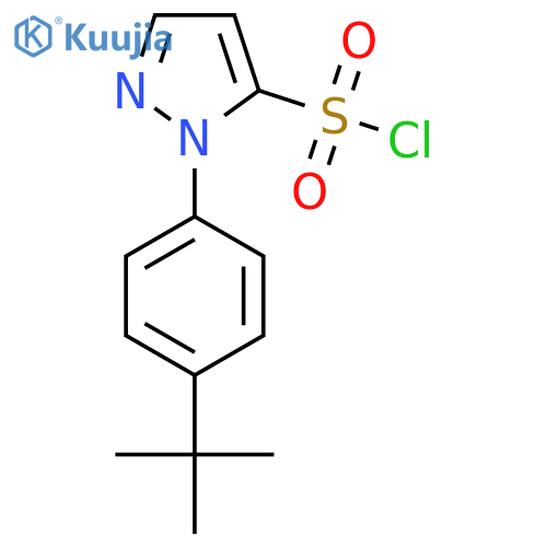 1-(4-tert-butylphenyl)-1H-pyrazole-5-sulfonyl chloride structure