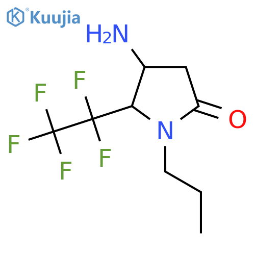 4-amino-5-(pentafluoroethyl)-1-propylpyrrolidin-2-one structure