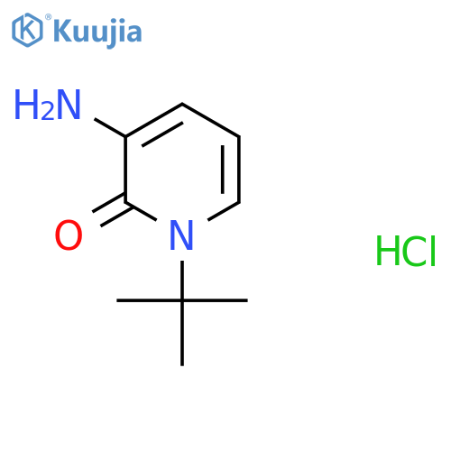 3-amino-1-tert-butyl-1,2-dihydropyridin-2-one hydrochloride structure