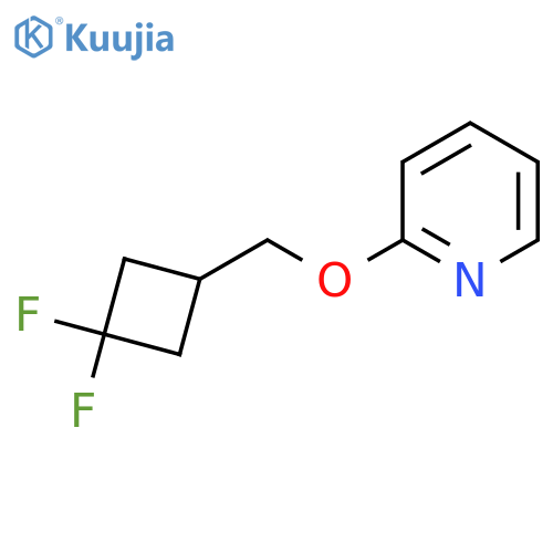 2-[(3,3-Difluorocyclobutyl)methoxy]pyridine structure