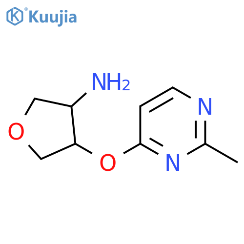 4-[(2-Methylpyrimidin-4-yl)oxy]oxolan-3-amine structure