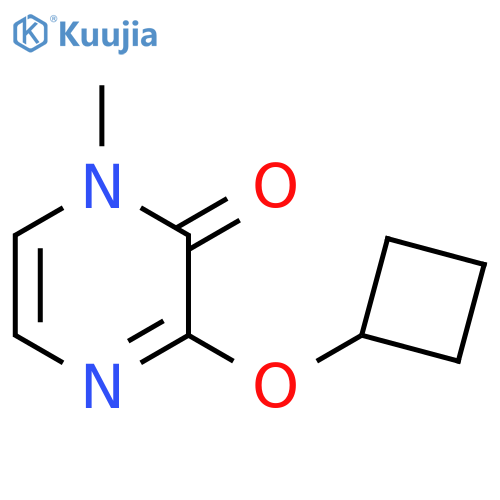 3-cyclobutoxy-1-methyl-1,2-dihydropyrazin-2-one structure