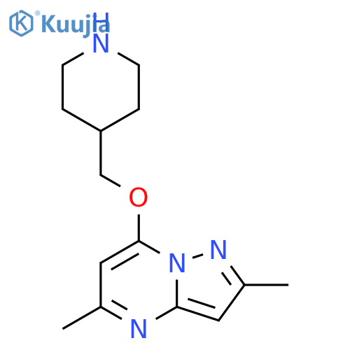 4-({2,5-dimethylpyrazolo1,5-apyrimidin-7-yl}oxy)methylpiperidine structure