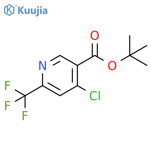 3-Pyridinecarboxylic acid, 4-chloro-6-(trifluoromethyl)-, 1,1-dimethylethyl ester structure