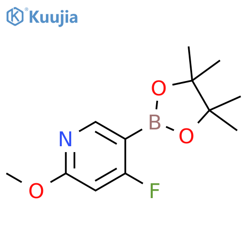 4-fluoro-2-methoxy-5-(4,4,5,5-tetramethyl-1,3,2-dioxaborolan-2-yl)pyridine structure