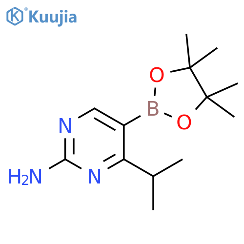 2-Amino-4-(iso-propyl)pyrimidine-5-boronic acid pinacol ester structure