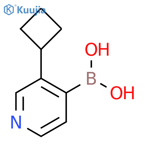 3-(Cyclobutyl)pyridine-4-boronic acid structure