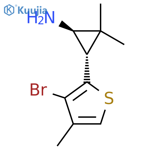 rac-(1R,3S)-3-(3-bromo-4-methylthiophen-2-yl)-2,2-dimethylcyclopropan-1-amine structure