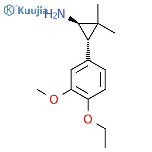 rac-(1R,3S)-3-(4-ethoxy-3-methoxyphenyl)-2,2-dimethylcyclopropan-1-amine structure