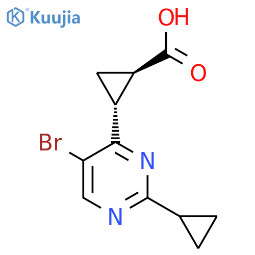 rac-(1R,2R)-2-(5-bromo-2-cyclopropylpyrimidin-4-yl)cyclopropane-1-carboxylic acid structure