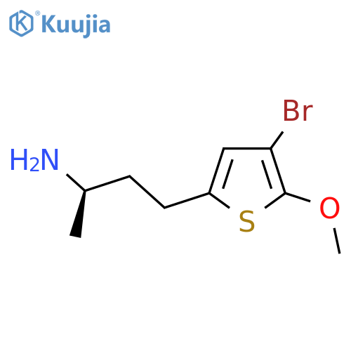 (2R)-4-(4-bromo-5-methoxythiophen-2-yl)butan-2-amine structure