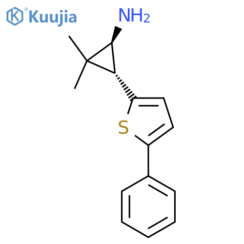rac-(1R,3S)-2,2-dimethyl-3-(5-phenylthiophen-2-yl)cyclopropan-1-amine structure