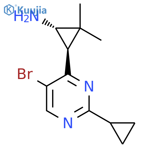 rac-(1R,3S)-3-(5-bromo-2-cyclopropylpyrimidin-4-yl)-2,2-dimethylcyclopropan-1-amine structure
