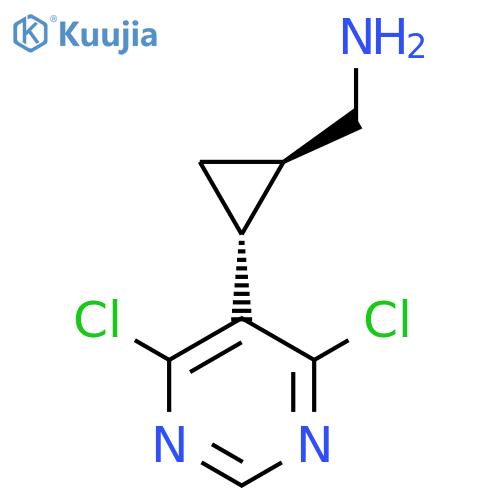 rac-(1R,2R)-2-(4,6-dichloropyrimidin-5-yl)cyclopropylmethanamine structure