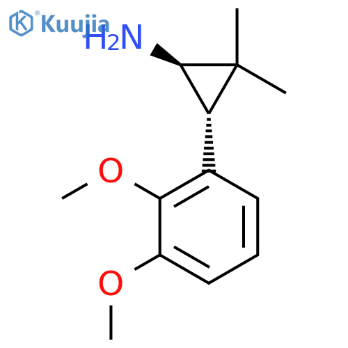 rac-(1R,3R)-3-(2,3-dimethoxyphenyl)-2,2-dimethylcyclopropan-1-amine structure