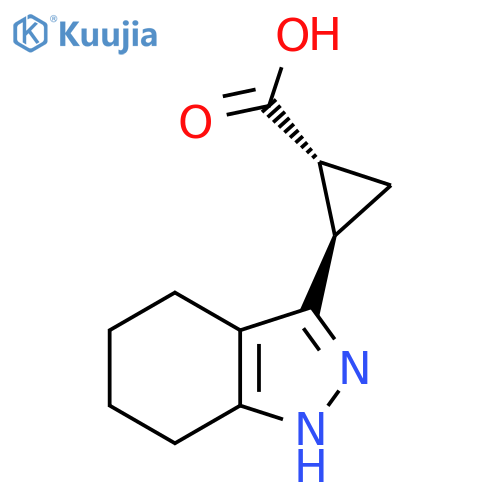 rac-(1R,2R)-2-(4,5,6,7-tetrahydro-1H-indazol-3-yl)cyclopropane-1-carboxylic acid structure
