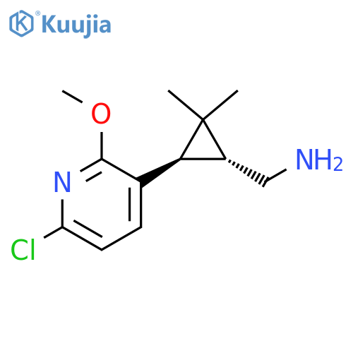 rac-(1R,3R)-3-(6-chloro-2-methoxypyridin-3-yl)-2,2-dimethylcyclopropylmethanamine structure